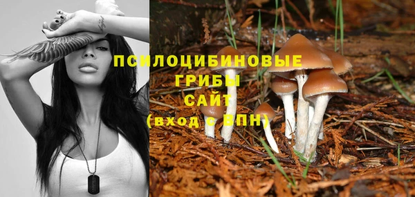 твердый Горно-Алтайск