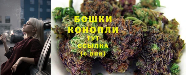 МДПВ Горняк