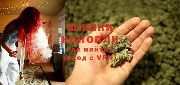 МДПВ Гусев