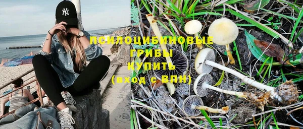 твердый Горно-Алтайск