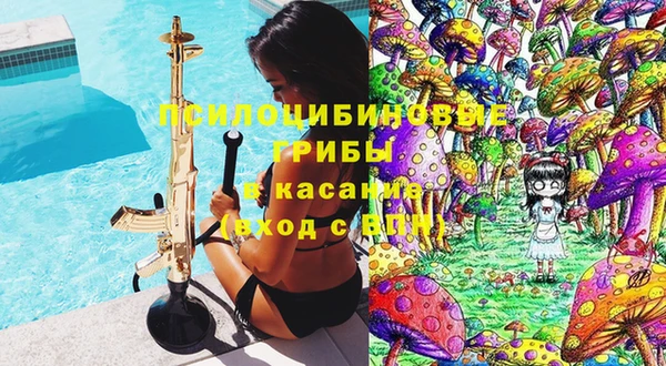 МДПВ Гусев