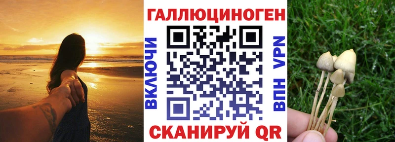 Купить  Кинешма  Галлюциногенные грибы Magic Shrooms 